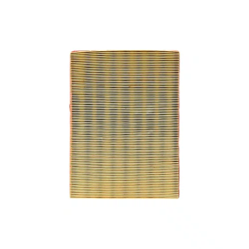 Filtro ar gm astra 2.0 mpfi 16v importado 95/96 (ca5400)