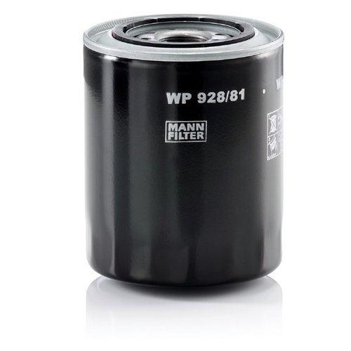 Filtro oleo motor mitsubishi l200 pajero kia besta (wp928/81)