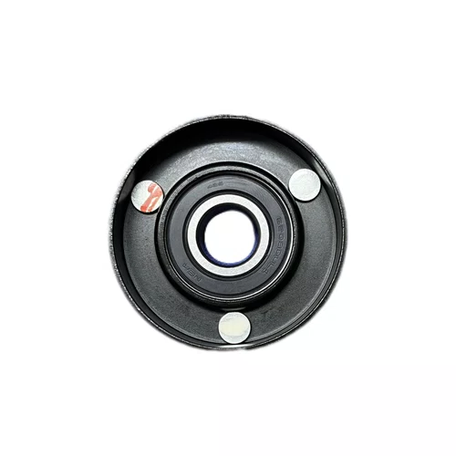 Rolamento guia alternador gm astra/zafira (fe176526)