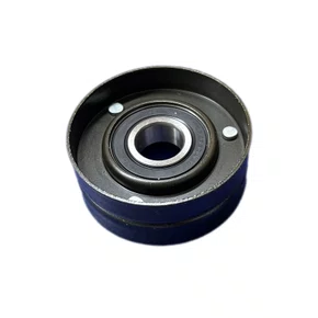 Rolamento guia alternador gm astra/zafira (fe176526)