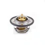 Valvula termostatica cummins eletronico isb (tx245 82d)